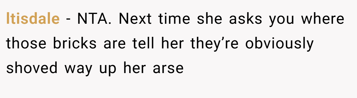 ltisdale - NTA. Next time she asks you where those bricks are tell her they’re obviously shoved way up her arse