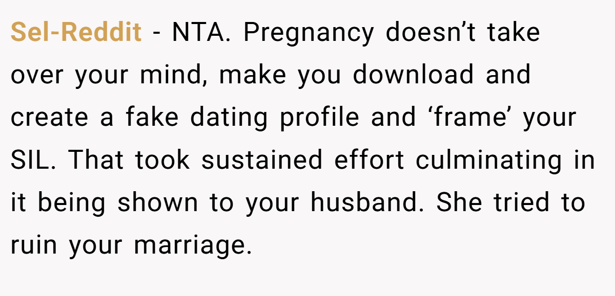 Sel-Reddit − NTA. Pregnancy doesn’t take over your mind, make you download and create a fake dating profile and ‘frame’ your SIL. That took sustained effort culminating in it being shown to your husband. She tried to ruin your marriage.