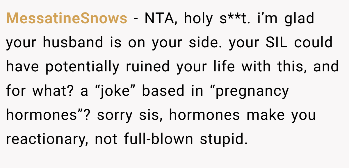 MessatineSnows − NTA, holy s**t. i’m glad your husband is on your side. your SIL could have potentially ruined your life with this, and for what? a “joke” based in “pregnancy hormones”? sorry sis, hormones make you reactionary, not full-blown stupid.