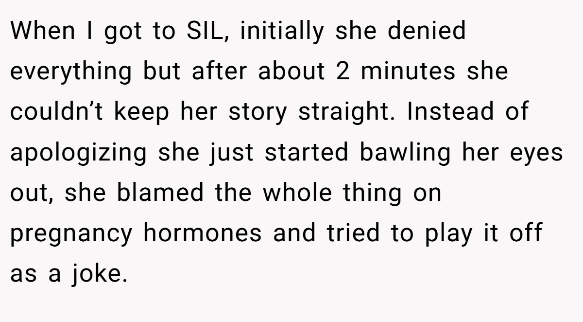 When I got to SIL, initially she denied everything but after about 2 minutes she couldn’t keep her story straight. Instead of apologizing she just started bawling her eyes out, she blamed the whole thing on pregnancy hormones and tried to play it off as a joke.