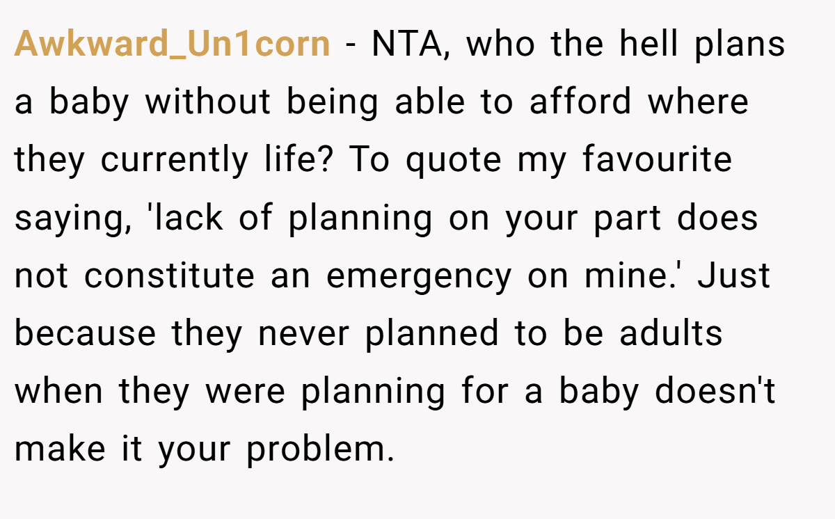 Awkward_Un1corn − NTA, who the hell plans a baby without being able to afford where they currently life? To quote my favourite saying, 'lack of planning on your part does not constitute an emergency on mine.' Just because they never planned to be adults when they were planning for a baby doesn't make it your problem.