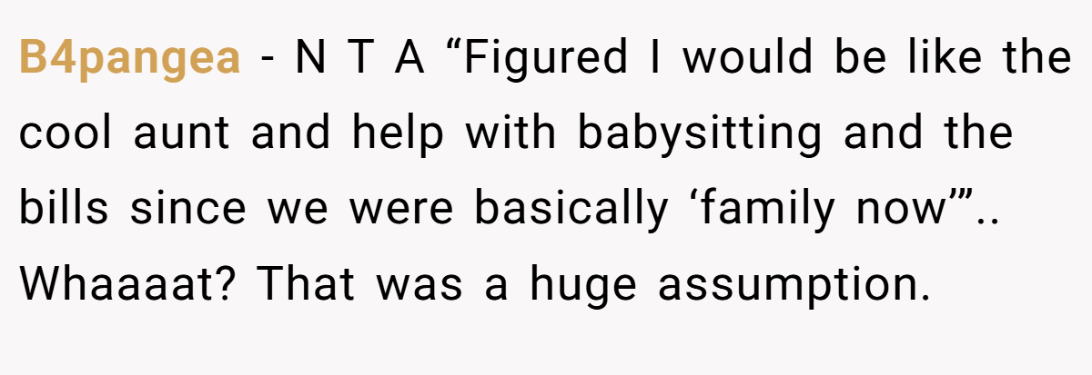 B4pangea − N T A “Figured I would be like the cool aunt and help with babysitting and the bills since we were basically ‘family now’”.. Whaaaat? That was a huge assumption.