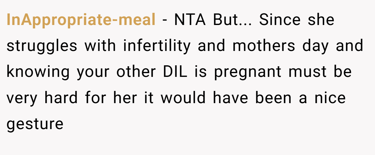 InAppropriate-meal − NTA But... Since she struggles with infertility and mothers day and knowing your other DIL is pregnant must be very hard for her it would have been a nice gesture