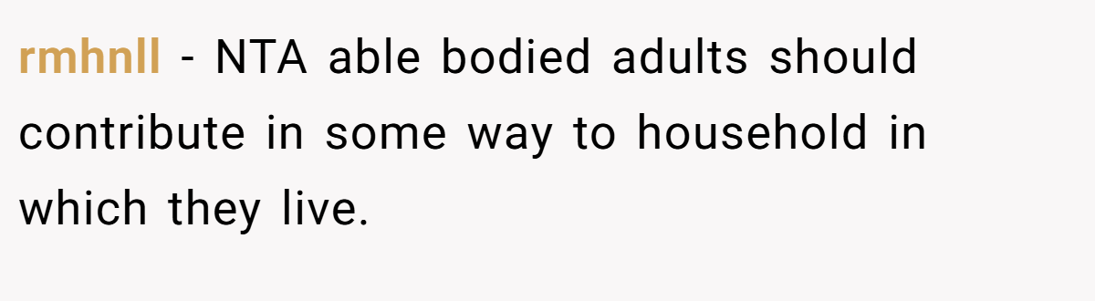 rmhnll − NTA able bodied adults should contribute in some way to household in which they live.