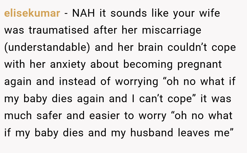 elisekumar − NAH it sounds like your wife was traumatised after her miscarriage (understandable) and her brain couldn’t cope with her anxiety about becoming pregnant again and instead of worrying “oh no what if my baby dies again and I can’t cope” it was much safer and easier to worry “oh no what if my baby dies and my husband leaves me”