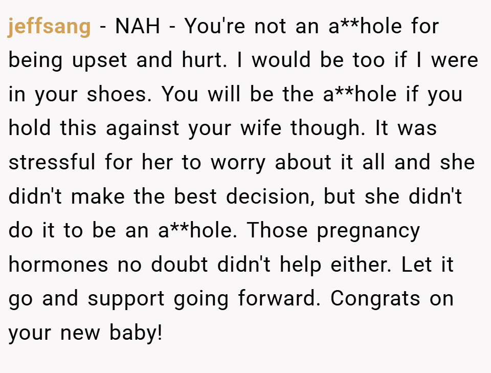 jeffsang − NAH - You're not an a**hole for being upset and hurt. I would be too if I were in your shoes. You will be the a**hole if you hold this against your wife though. It was stressful for her to worry about it all and she didn't make the best decision, but she didn't do it to be an a**hole. Those pregnancy hormones no doubt didn't help either. Let it go and support going forward. Congrats on your new baby!
