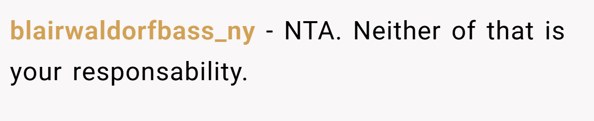 blairwaldorfbass_ny − NTA. Neither of that is your responsability.