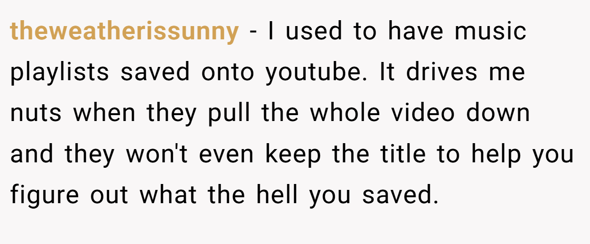 theweatherissunny − I used to have music playlists saved onto youtube. It drives me nuts when they pull the whole video down and they won't even keep the title to help you figure out what the hell you saved.