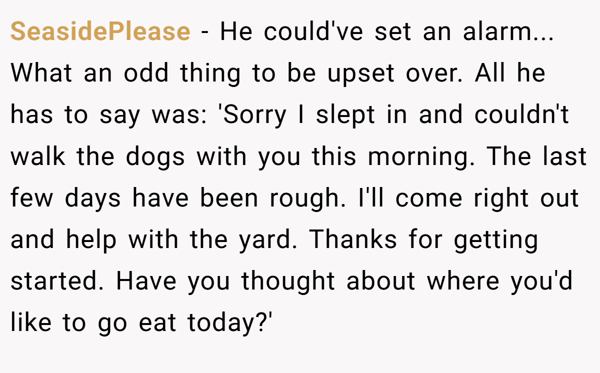 SeasidePlease − He could've set an alarm... What an odd thing to be upset over. All he has to say was: 'Sorry I slept in and couldn't walk the dogs with you this morning. The last few days have been rough. I'll come right out and help with the yard. Thanks for getting started. Have you thought about where you'd like to go eat today?'
