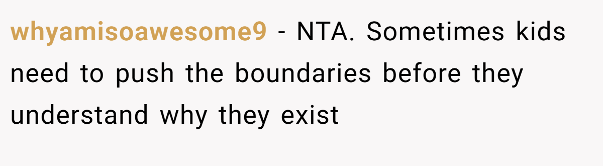whyamisoawesome9 − NTA. Sometimes kids need to push the boundaries before they understand why they exist