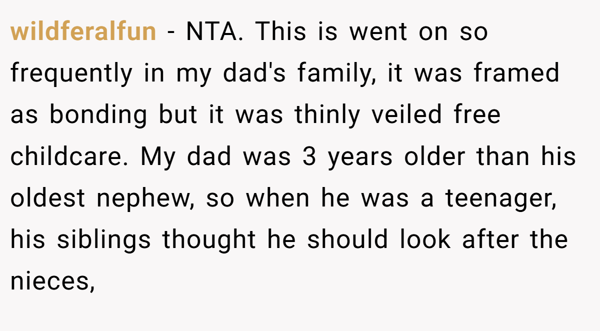 wildferalfun − NTA. This is went on so frequently in my dad's family, it was framed as bonding but it was thinly veiled free childcare. My dad was 3 years older than his oldest nephew, so when he was a teenager, his siblings thought he should look after the nieces,