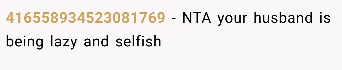 416558934523081769 - NTA your husband is being lazy and selfish