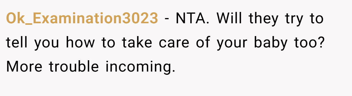 Ok_Examination3023 - NTA. Will they try to tell you how to take care of your baby too? More trouble incoming.