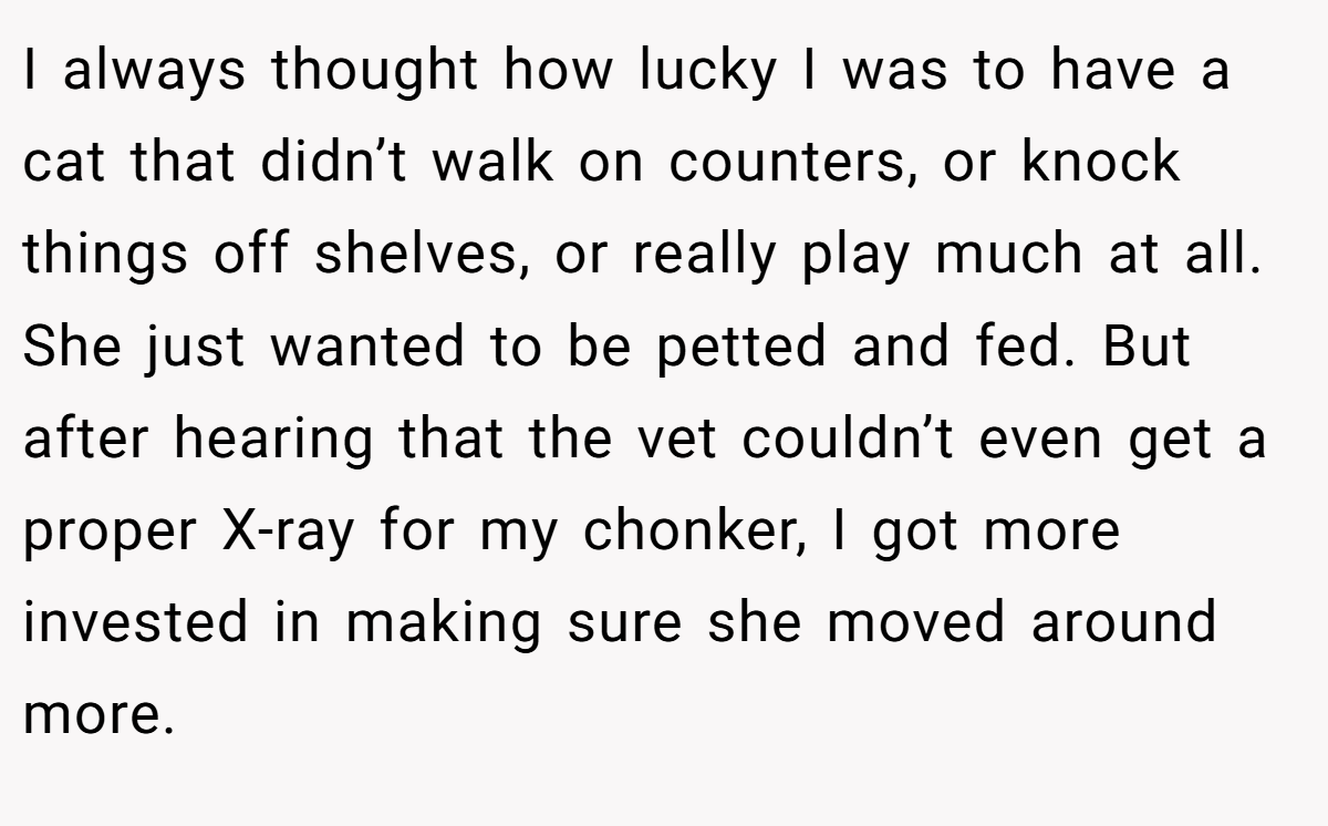 I always thought how lucky I was to have a cat that didn’t walk on counters, or knock things off shelves, or really play much at all. She just wanted to be petted and fed. But after hearing that the vet couldn’t even get a proper X-ray for my chonker, I got more invested in making sure she moved around more.