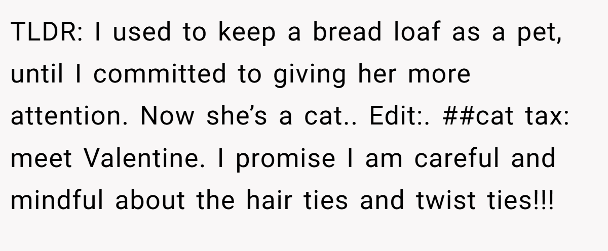 TLDR: I used to keep a bread loaf as a pet, until I committed to giving her more attention. Now she’s a cat.. Edit:. ##cat tax: meet Valentine. I promise I am careful and mindful about the hair ties and twist ties!!!