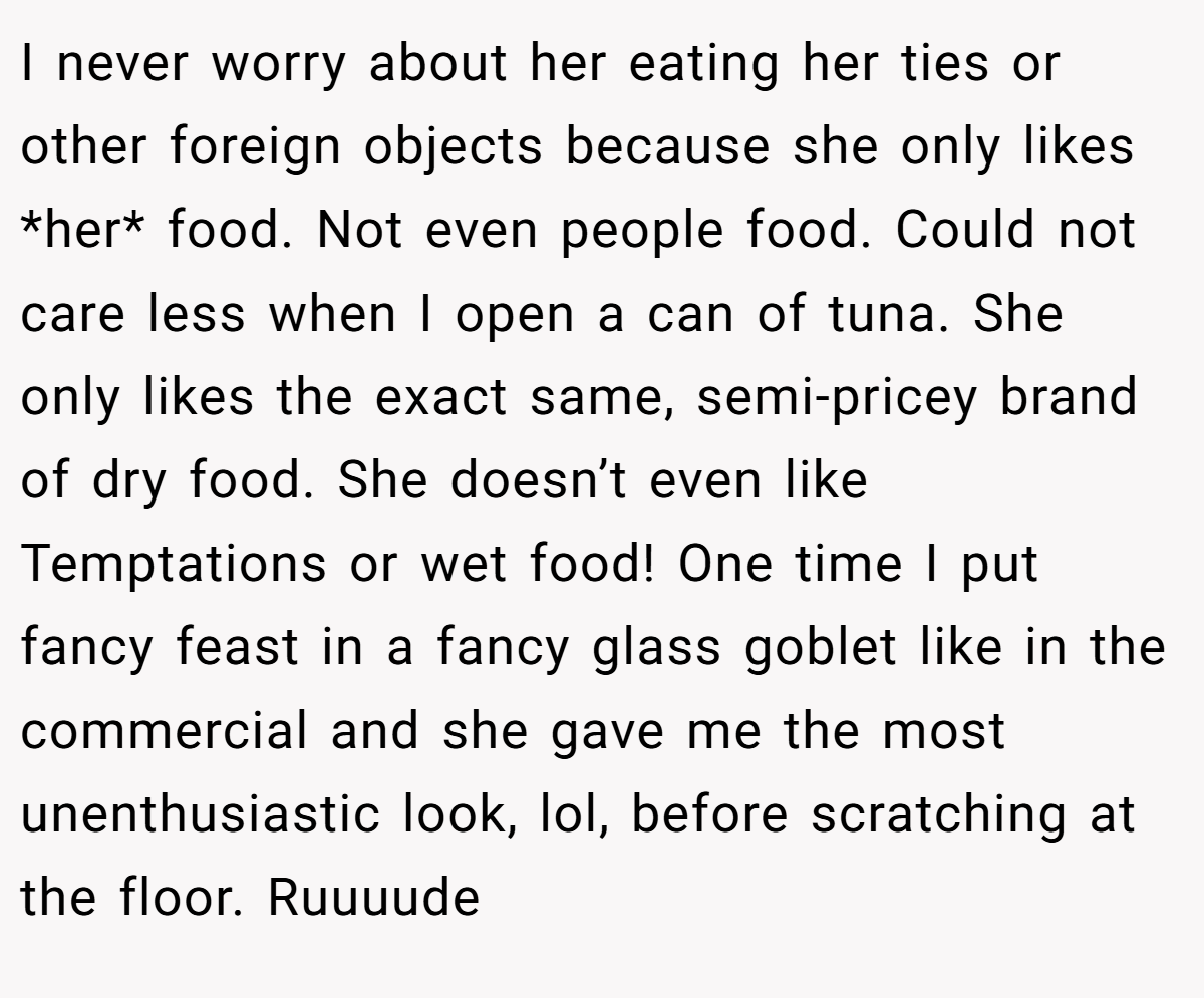 I never worry about her eating her ties or other foreign objects because she only likes *her* food. Not even people food. Could not care less when I open a can of tuna. She only likes the exact same, semi-pricey brand of dry food. She doesn’t even like Temptations or wet food! One time I put fancy feast in a fancy glass goblet like in the commercial and she gave me the most unenthusiastic look, lol, before scratching at the floor. Ruuuude