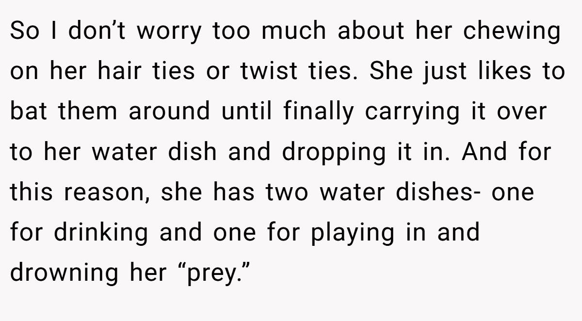 So I don’t worry too much about her chewing on her hair ties or twist ties. She just likes to bat them around until finally carrying it over to her water dish and dropping it in. And for this reason, she has two water dishes- one for drinking and one for playing in and drowning her “prey.”