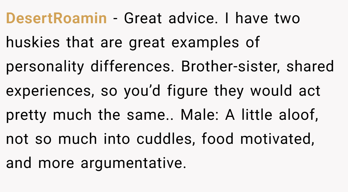 DesertRoamin − Great advice. I have two huskies that are great examples of personality differences. Brother-sister, shared experiences, so you’d figure they would act pretty much the same.. Male: A little aloof, not so much into cuddles, food motivated, and more argumentative.
