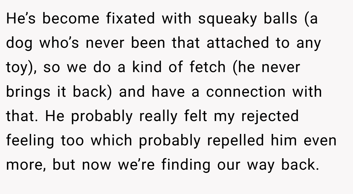 He’s become fixated with squeaky balls (a dog who’s never been that attached to any toy), so we do a kind of fetch (he never brings it back) and have a connection with that. He probably really felt my rejected feeling too which probably repelled him even more, but now we’re finding our way back.