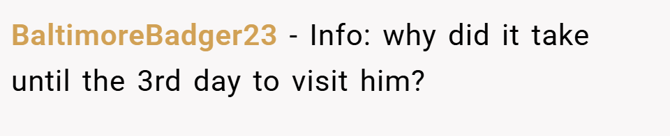 BaltimoreBadger23 − Info: why did it take until the 3rd day to visit him?