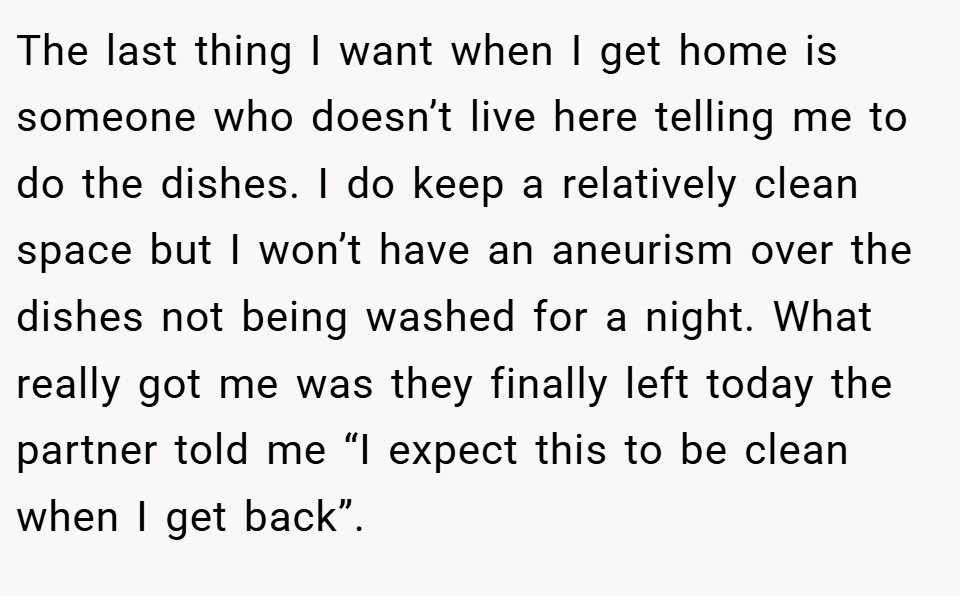The last thing I want when I get home is someone who doesn’t live here telling me to do the dishes. I do keep a relatively clean space but I won’t have an aneurism over the dishes not being washed for a night. What really got me was they finally left today the partner told me “I expect this to be clean when I get back”.