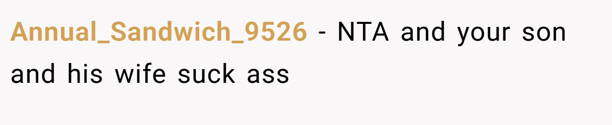 Annual_Sandwich_9526 - NTA and your son and his wife suck ass