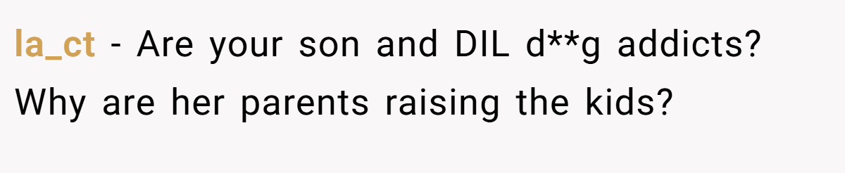 la_ct - Are your son and DIL d**g addicts? Why are her parents raising the kids?