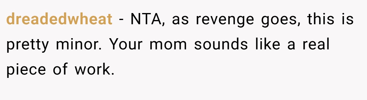 dreadedwheat − NTA, as revenge goes, this is pretty minor. Your mom sounds like a real piece of work.