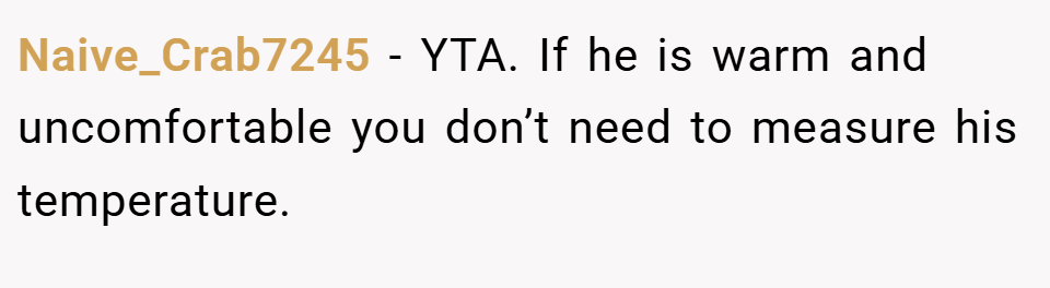 Naive_Crab7245 − YTA. If he is warm and uncomfortable you don’t need to measure his temperature.