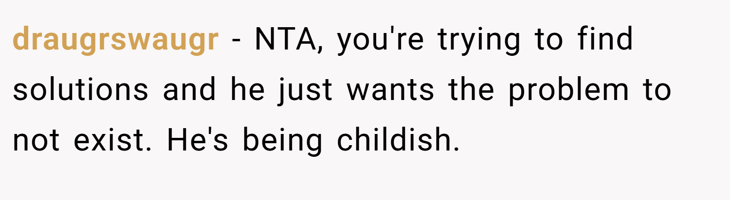 draugrswaugr − NTA, you're trying to find solutions and he just wants the problem to not exist. He's being childish.