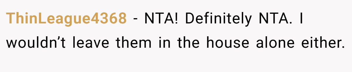 ThinLeague4368 − NTA! Definitely NTA. I wouldn’t leave them in the house alone either.