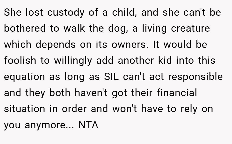 She lost custody of a child, and she can't be bothered to walk the dog, a living creature which depends on its owners. It would be foolish to willingly add another kid into this equation as long as SIL can't act responsible and they both haven't got their financial situation in order and won't have to rely on you anymore... NTA