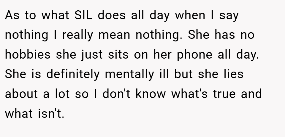 As to what SIL does all day when I say nothing I really mean nothing. She has no hobbies she just sits on her phone all day. She is definitely mentally ill but she lies about a lot so I don't know what's true and what isn't.