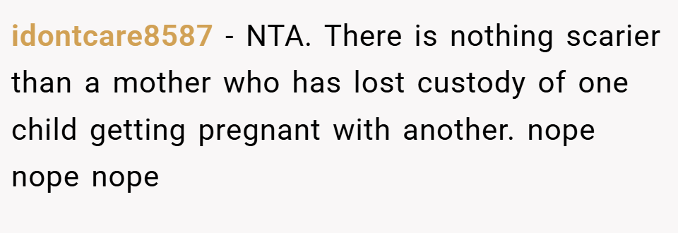 idontcare8587 − NTA. There is nothing scarier than a mother who has lost custody of one child getting pregnant with another. nope nope nope