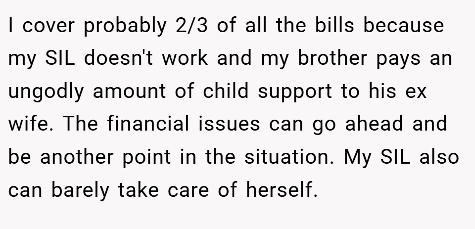 I cover probably 2/3 of all the bills because my SIL doesn't work and my brother pays an ungodly amount of child support to his ex wife. The financial issues can go ahead and be another point in the situation. My SIL also can barely take care of herself.