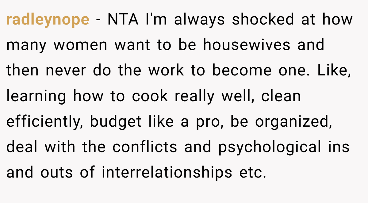radleynope − NTA I'm always shocked at how many women want to be housewives and then never do the work to become one. Like, learning how to cook really well, clean efficiently, budget like a pro, be organized, deal with the conflicts and psychological ins and outs of interrelationships etc.