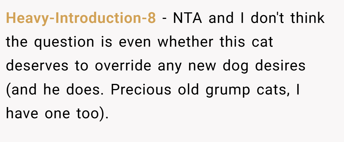 Heavy-Introduction-8 - NTA and I don't think the question is even whether this cat deserves to override any new dog desires (and he does. Precious old grump cats, I have one too).