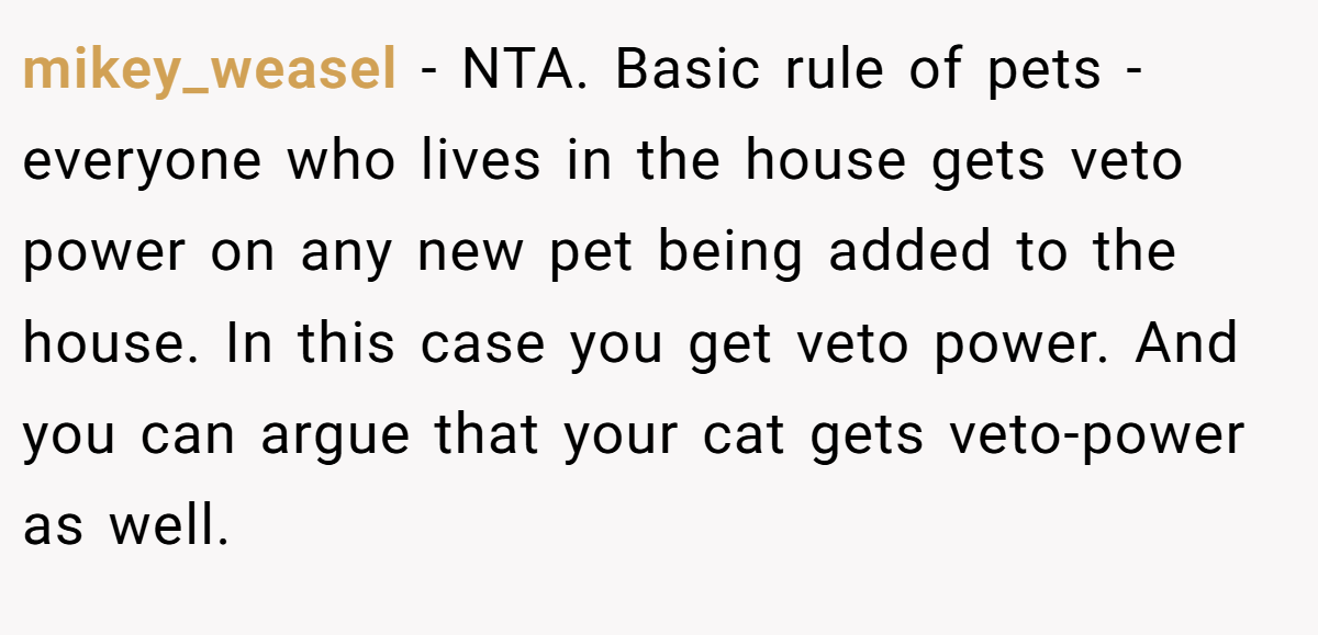 mikey_weasel - NTA. Basic rule of pets - everyone who lives in the house gets veto power on any new pet being added to the house. In this case you get veto power. And you can argue that your cat gets veto-power as well.