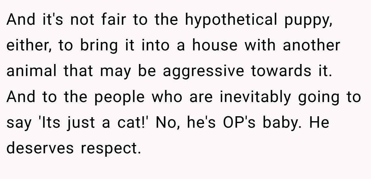And it's not fair to the hypothetical puppy, either, to bring it into a house with another animal that may be aggressive towards it. And to the people who are inevitably going to say 'Its just a cat!' No, he's OP's baby. He deserves respect.