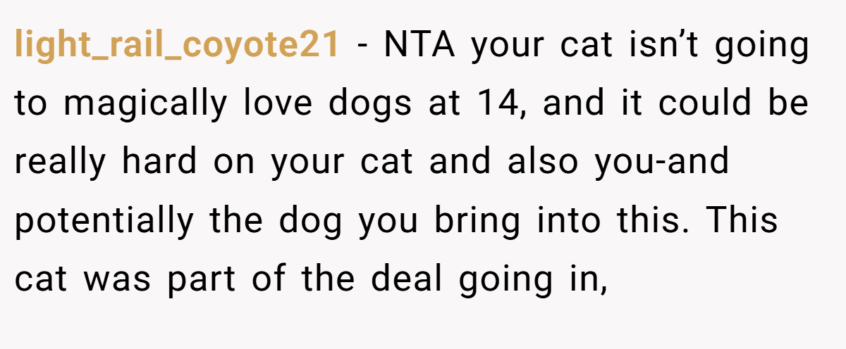 light_rail_coyote21 - NTA your cat isn’t going to magically love dogs at 14, and it could be really hard on your cat and also you-and potentially the dog you bring into this. This cat was part of the deal going in,