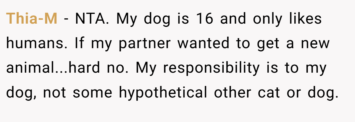 Thia-M - NTA. My dog is 16 and only likes humans. If my partner wanted to get a new animal...hard no. My responsibility is to my dog, not some hypothetical other cat or dog.