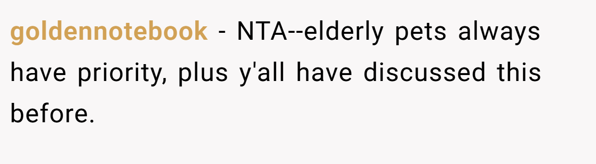 goldennotebook - NTA--elderly pets always have priority, plus y'all have discussed this before.