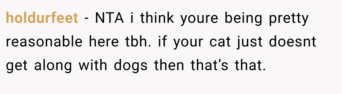 holdurfeet - NTA i think youre being pretty reasonable here tbh. if your cat just doesnt get along with dogs then that’s that.