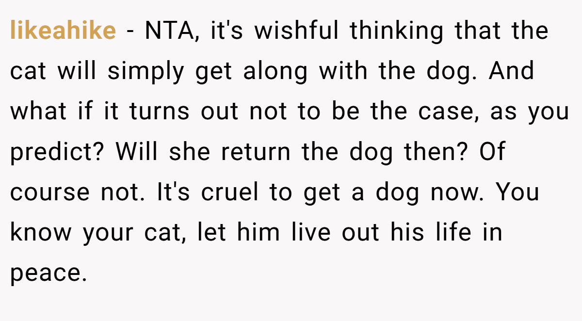 likeahike - NTA, it's wishful thinking that the cat will simply get along with the dog. And what if it turns out not to be the case, as you predict? Will she return the dog then? Of course not. It's cruel to get a dog now. You know your cat, let him live out his life in peace.