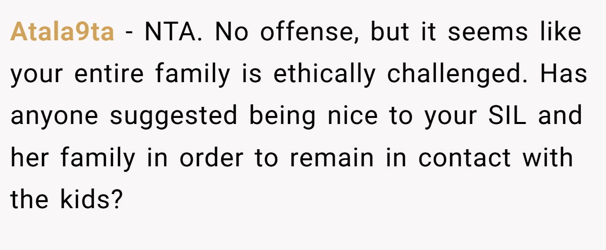 Atala9ta − NTA. No offense, but it seems like your entire family is ethically challenged. Has anyone suggested being nice to your SIL and her family in order to remain in contact with the kids?
