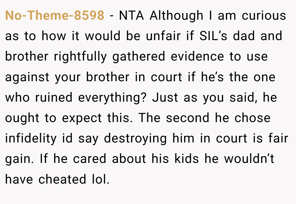 No-Theme-8598 − NTA Although I am curious as to how it would be unfair if SIL’s dad and brother rightfully gathered evidence to use against your brother in court if he’s the one who ruined everything? Just as you said, he ought to expect this. The second he chose infidelity id say destroying him in court is fair gain. If he cared about his kids he wouldn’t have cheated lol.