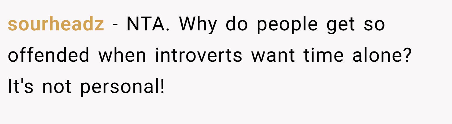 sourheadz − NTA. Why do people get so offended when introverts want time alone? It's not personal!