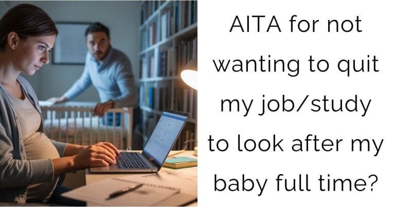 AITA for not wanting to quit my job/study to look after my baby full time?
