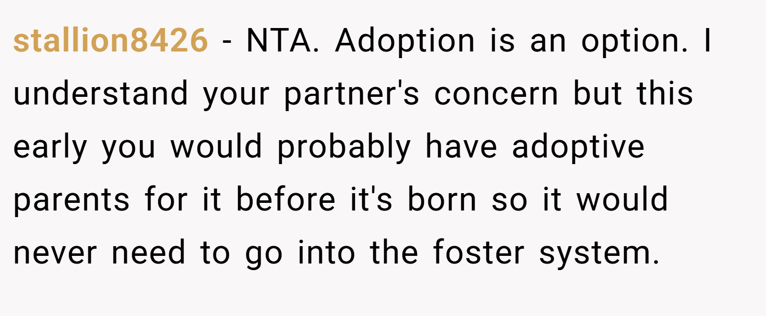 stallion8426 − NTA. Adoption is an option. I understand your partner's concern but this early you would probably have adoptive parents for it before it's born so it would never need to go into the foster system.