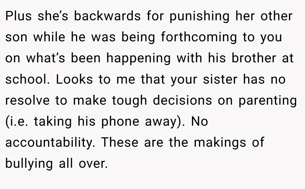 Plus she’s backwards for punishing her other son while he was being forthcoming to you on what’s been happening with his brother at school. Looks to me that your sister has no resolve to make tough decisions on parenting (i.e. taking his phone away). No accountability. These are the makings of bullying all over.